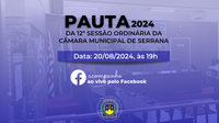 12ª Sessão Ordinária - 20/08/2024 às 19h